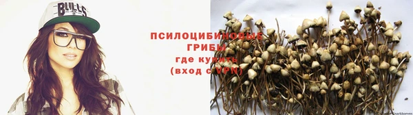 ALPHA PVP Беломорск