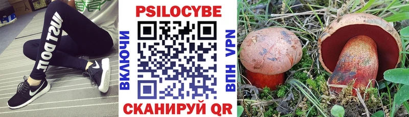 хочу наркоту  Нарткала  Псилоцибиновые грибы прущие грибы 